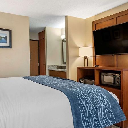 Comfort Inn & Suites Dimondale - Lansing Exteriör bild