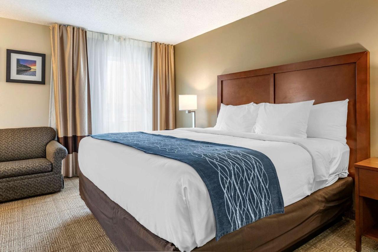 Comfort Inn & Suites Dimondale - Lansing Exteriör bild