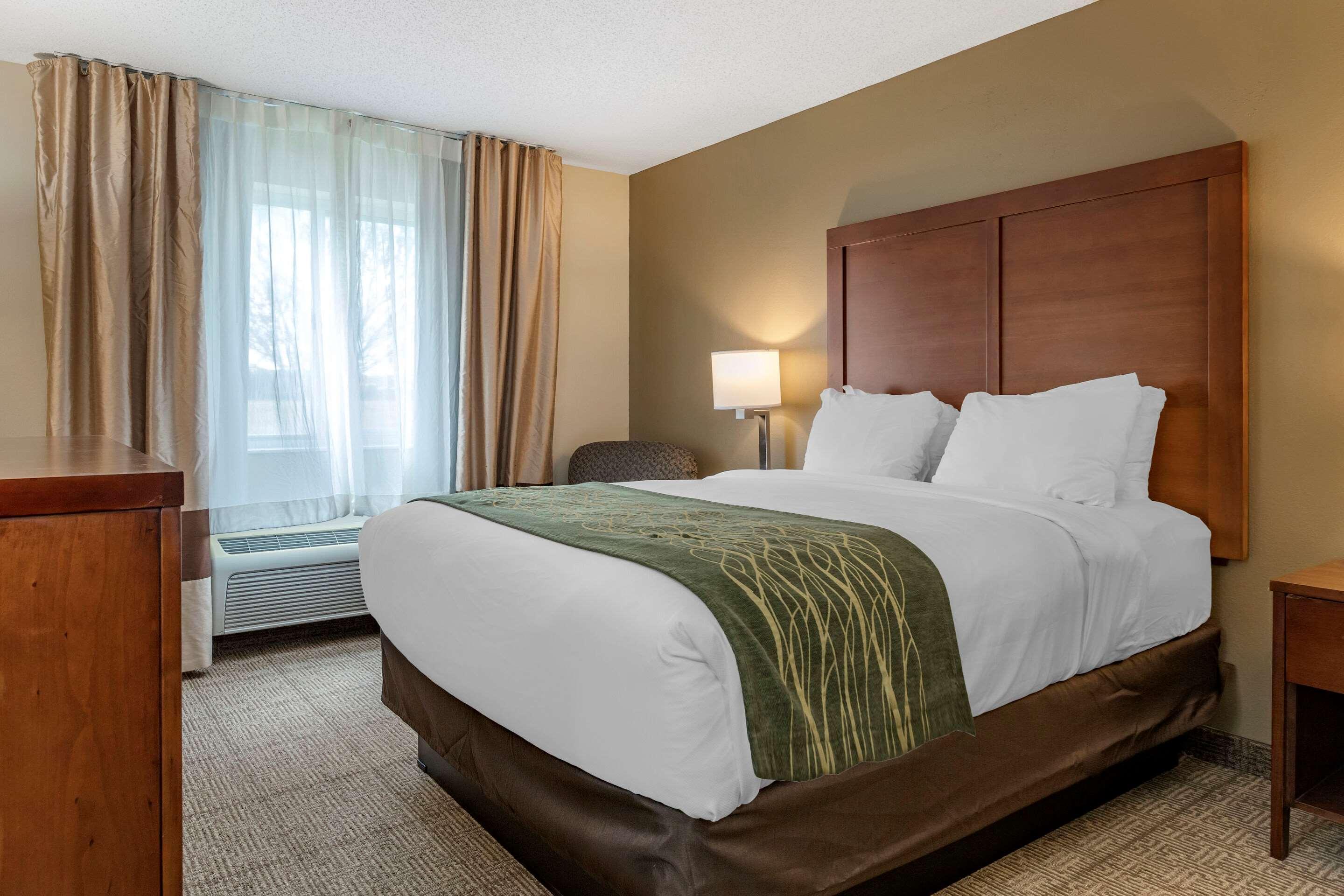 Comfort Inn & Suites Dimondale - Lansing Exteriör bild