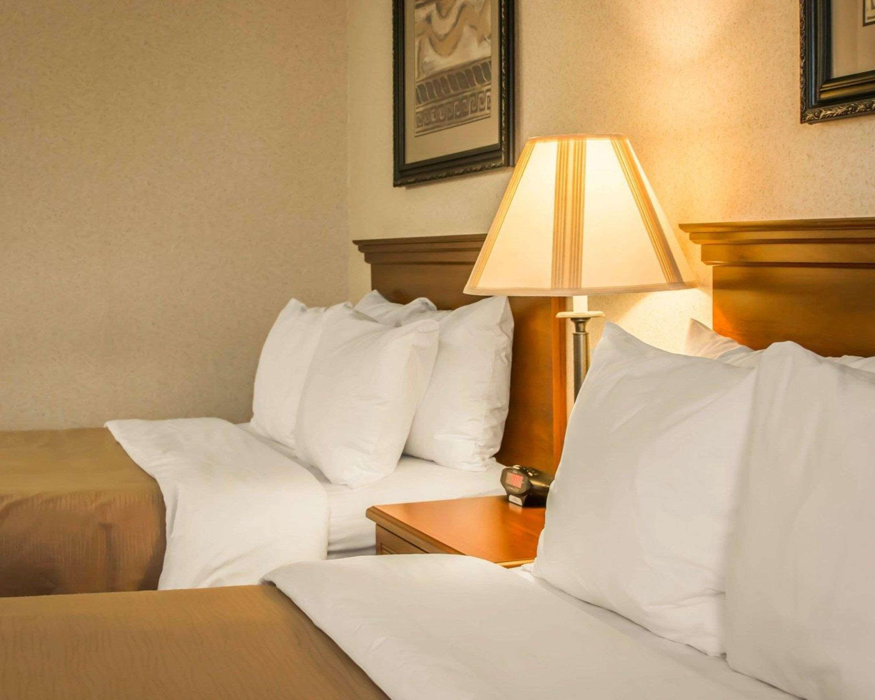 Comfort Inn & Suites Dimondale - Lansing Exteriör bild