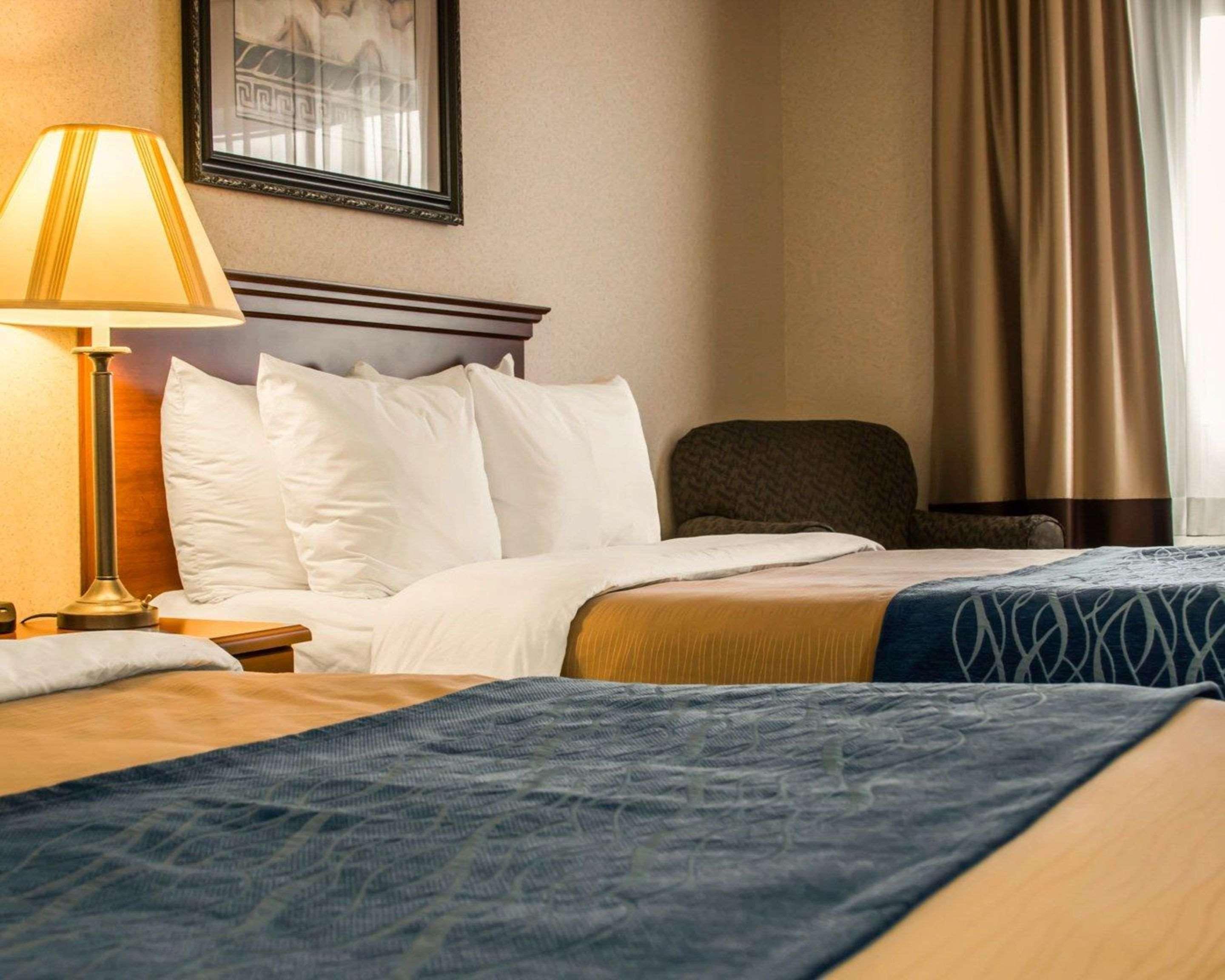 Comfort Inn & Suites Dimondale - Lansing Exteriör bild