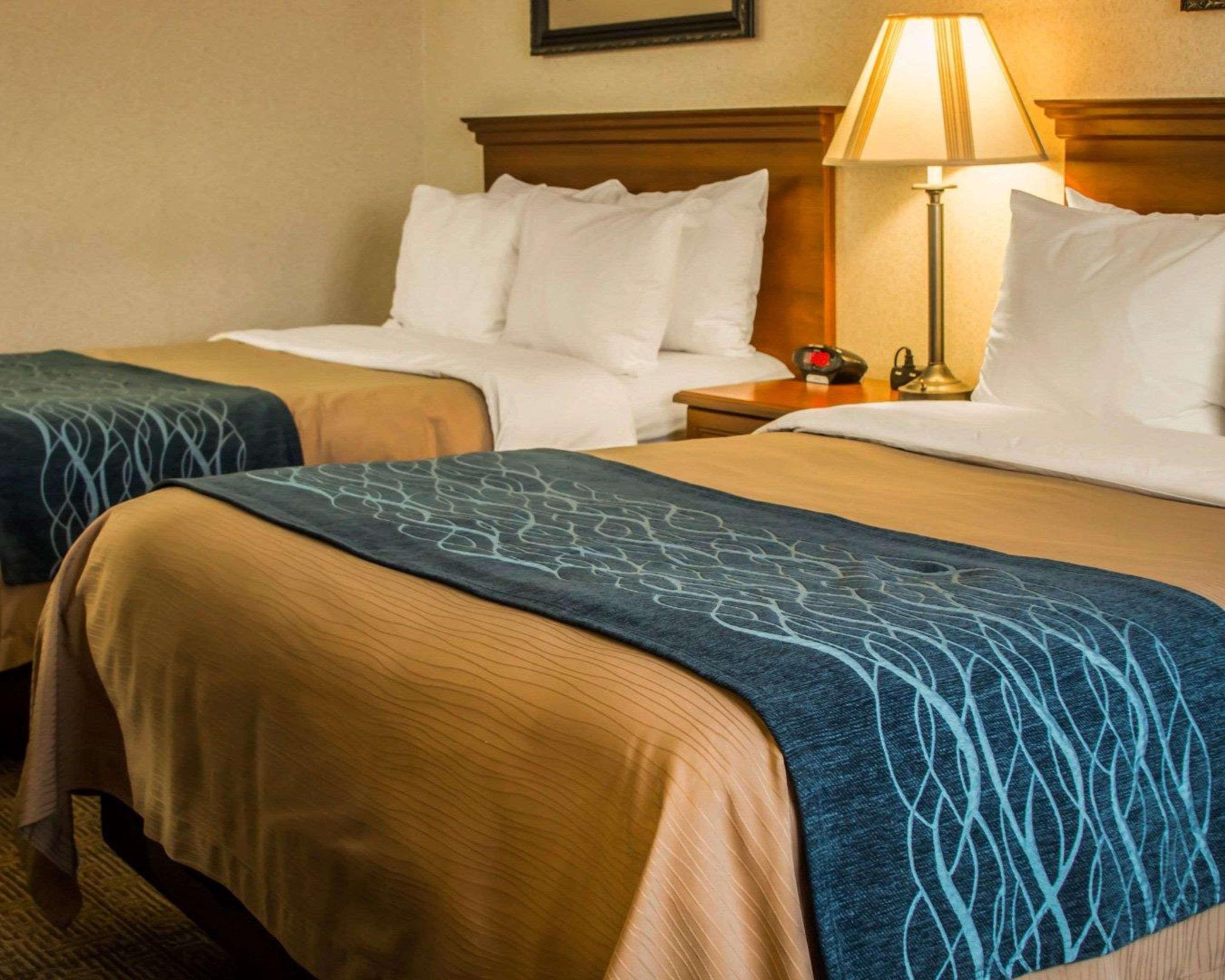 Comfort Inn & Suites Dimondale - Lansing Exteriör bild