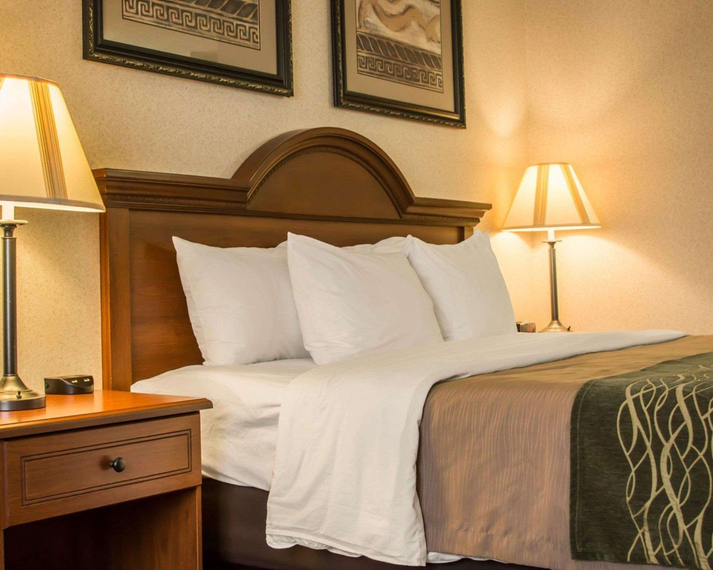 Comfort Inn & Suites Dimondale - Lansing Exteriör bild