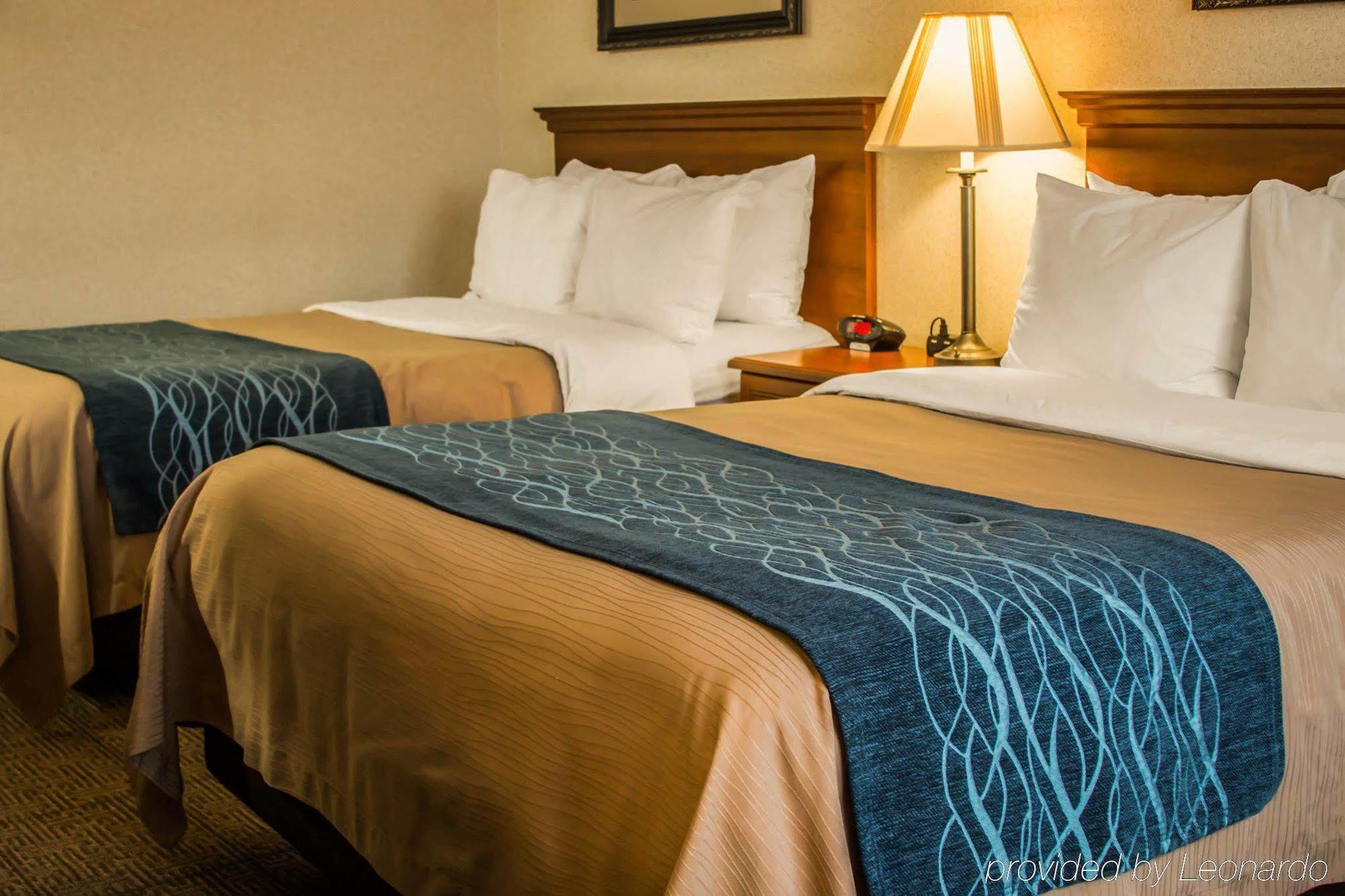 Comfort Inn & Suites Dimondale - Lansing Exteriör bild